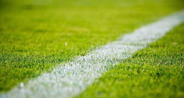 Gras